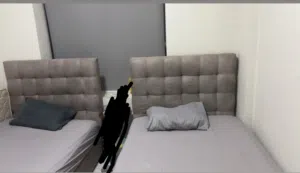 للبيع: سريرين بحالة ممتازة من هوم سنتر