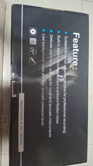 Professional condenser microphone