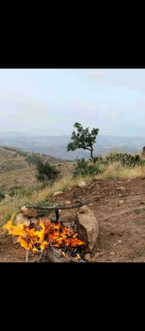 Mixed Use Land for Sale in Jerash Borma