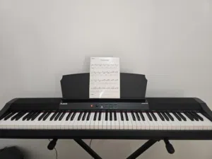 Alesis Prestige Piano (88 keys) with Weights.
