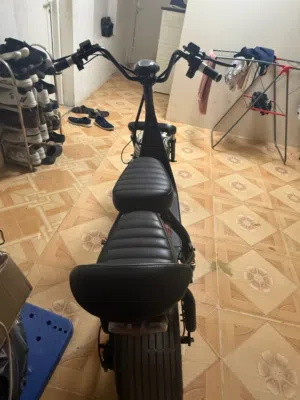 سكوتر هارلي