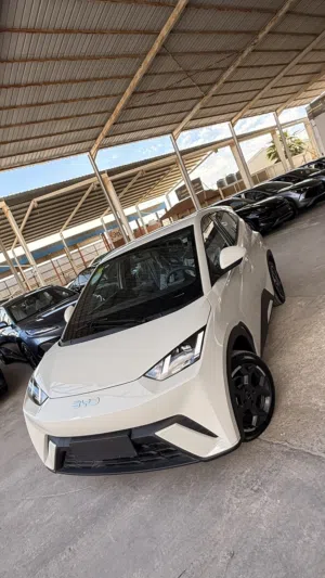 BYD Seagull EV 2024 (مواصفات 2025) بي واي دي/ سيجل كهربائيه أعلى مواصفات زيرو
