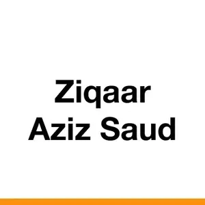 ZIQAR Motors