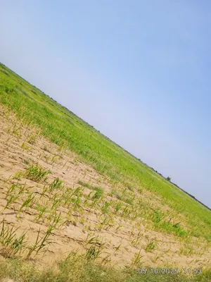 Mixed Use . 12 m2 . Agent4