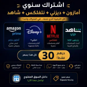 Netflix Accounts and Characters for Sale in Dubai