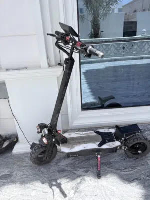 Winner sky w2 3000w 48v 18a big scooter and wheelie machine