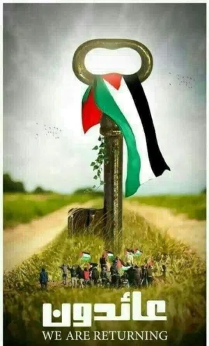 Majd Z.Mahsery 