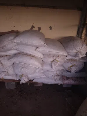 تمر نفيعه ممتاز انتاج السنه