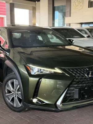 Lexus ux 300 EV 2022
