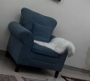 عدد 2 كرسي انتريه