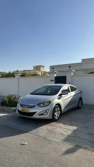 Used Hyundai Elantra in Muscat