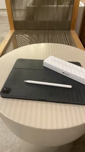 Apple iPad Pro 13 256 GB in Muscat