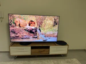 TV 65 Generaltec