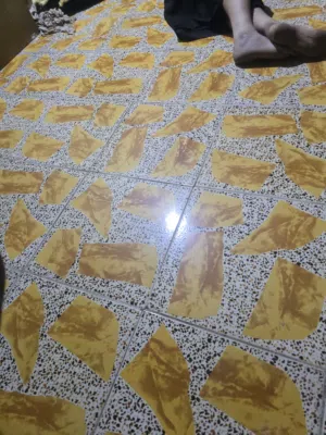 مصطفى 