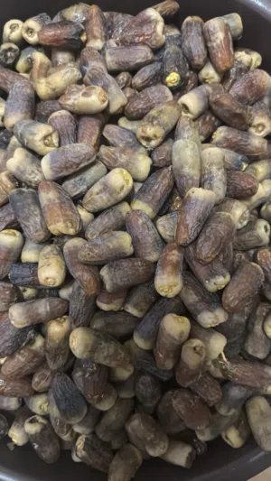 سح نغال جريجرو البيع بالكيلو الكيلو بواحد ريال منقاي وجاهز