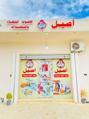 السلام عليكم  محل كامل جديد للبيع محل دواجن جاهز ومعداته بالكامل جديده تعال اخدم بس   بيع مستعجل سعر