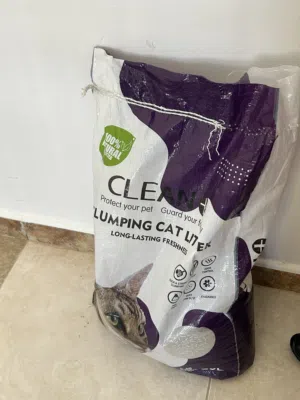 مستلزمات قطط