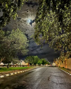 الناخبي 