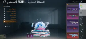 حساب ببجي  Account PUBG