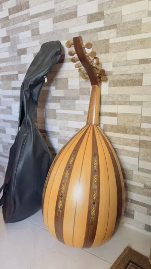 عـود شرقـي .