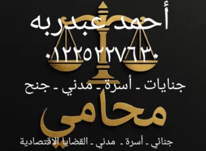 محاماة واستشارات قانونية جنائي أسرة مدني القضايا الاقتصادية والعسكرية الهجرة غير الشرعية