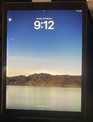 IPad Pro 12.9 inch 2nd gen 256 gb