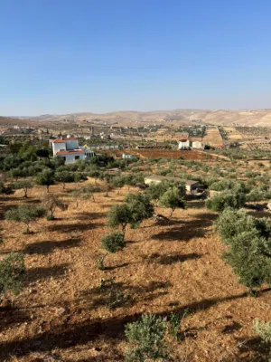 للبيع مزرعة زيتون + بيت ريفي - عنيبة جرش *المساحة*: 10 دونمات مشجره زيتون مثمر