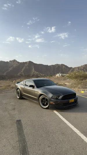 موستانج Mustang 2014