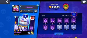حساب براول للبيع