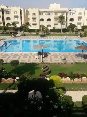 3 Bedrooms . Furnished . Daily4