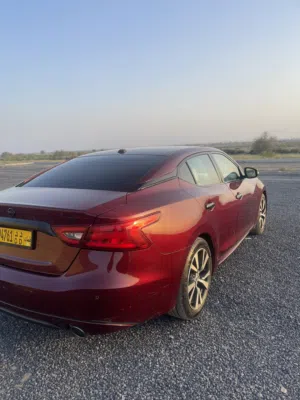 Used Nissan Maxima in Al Batinah