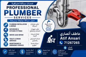 Professional Plumbing Services