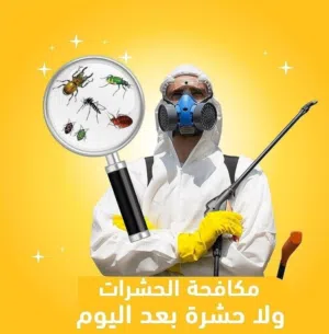 مكافأة الحشرات