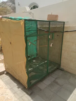 قفص طيور بحالة ممتازة
