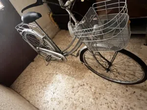 بسكليت ياباني