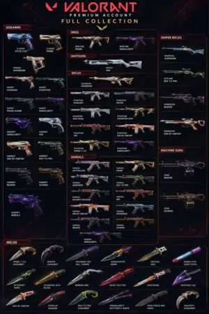 Valorant Account for Sale – Rare Skins   High Rank