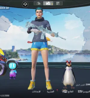 Pubg Accounts and Characters for Sale in Basra