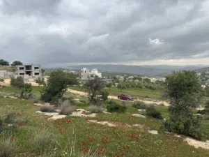 Residential Land for Sale in Zarqa Al-Alouk