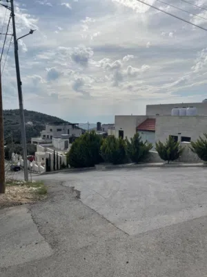 Residential Land for Sale in Amman Badr Jdedeh
