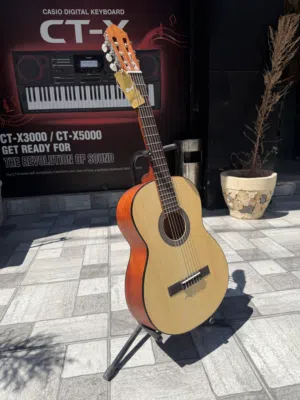 كورت كلاسيك جيتار – Cort AC100 Classical Guitar