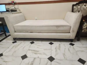Sofa for Hall [Elegant and Luxury Look]
