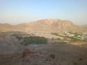 مزرعه للاجار