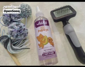 قط بريطاني عمره 10أشهر  للبيع مع كامل أغراضه وأخد كل تطعيمات ومعه دفتر تطعيم قابل للمساومه