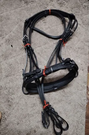 ‏إكسسوارات ‏.‏ خيل‏3