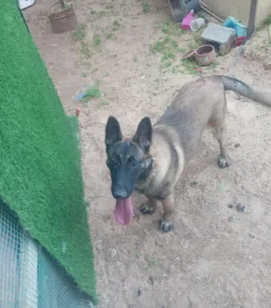 انتيه مليون