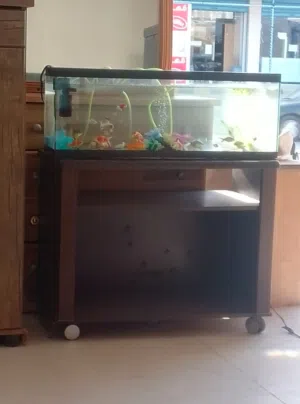 حوض سمك نارر