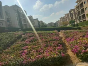155 m2 3 Bedrooms Apartments for Sale in Cairo Fifth Settlement