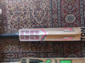 2 cricket bats, 1 ball and one bag