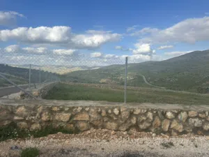 Farm Land for Sale in Zarqa Sarout