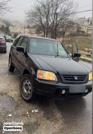 Used Honda CR-V in Salt